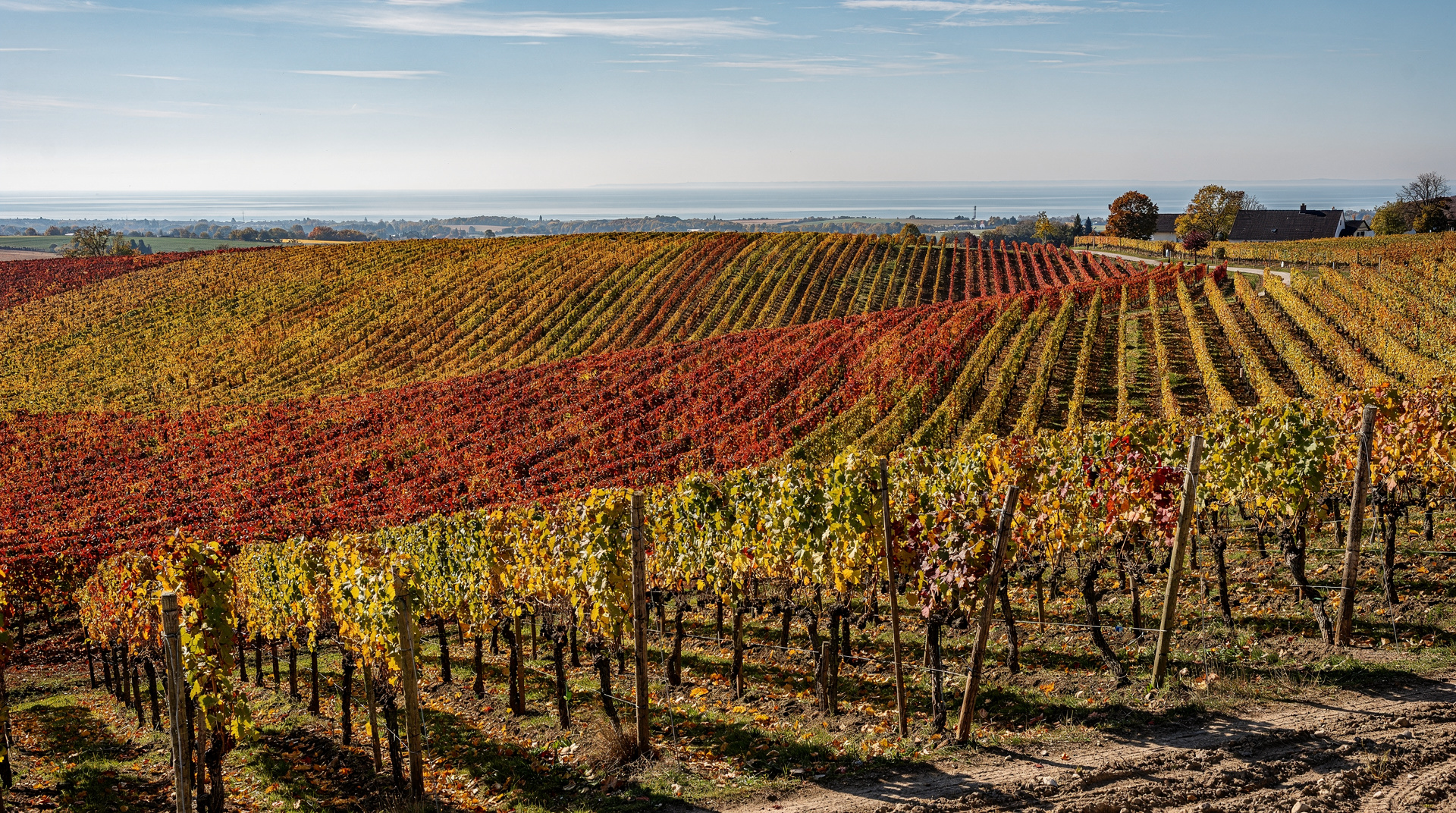 Burgenland wine route, Vienna and surroundings