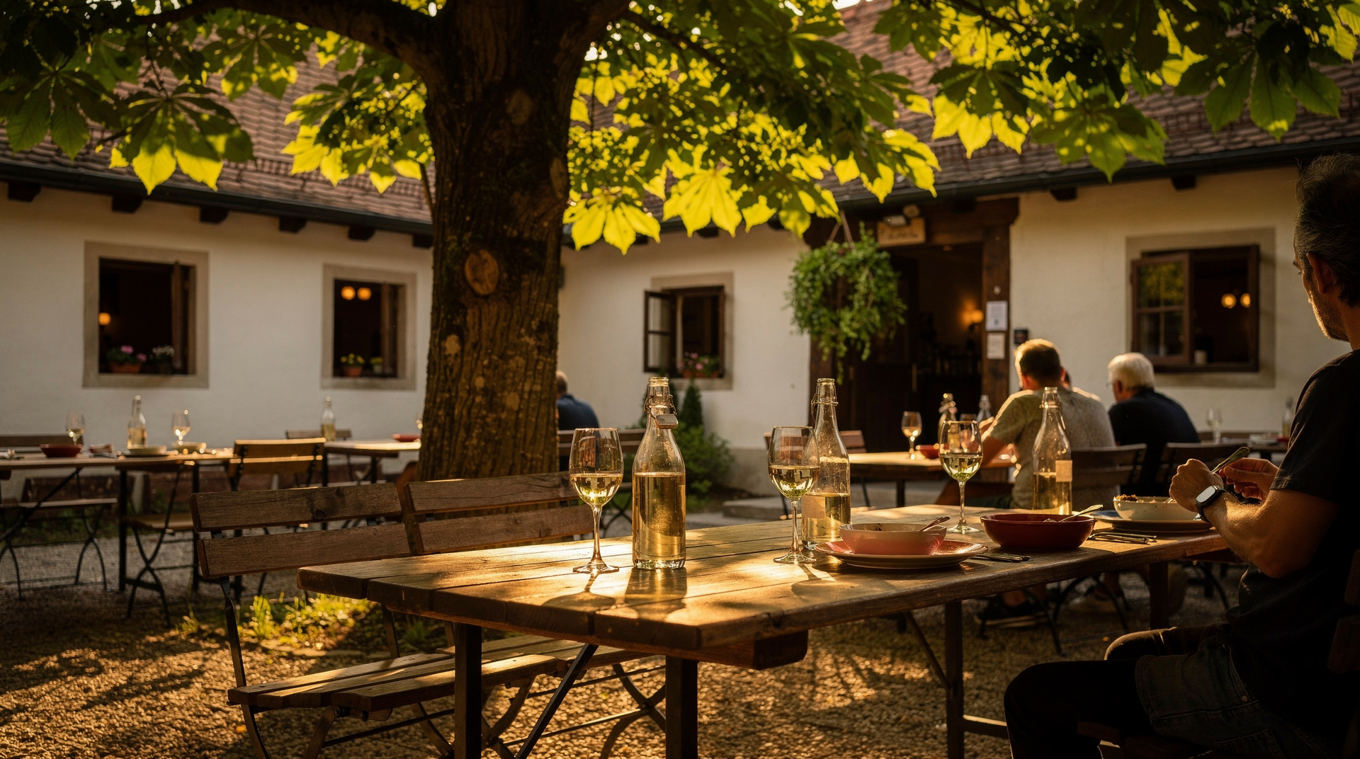 Best Heurigen in Grinzing and Nussdorf: honest recommendations