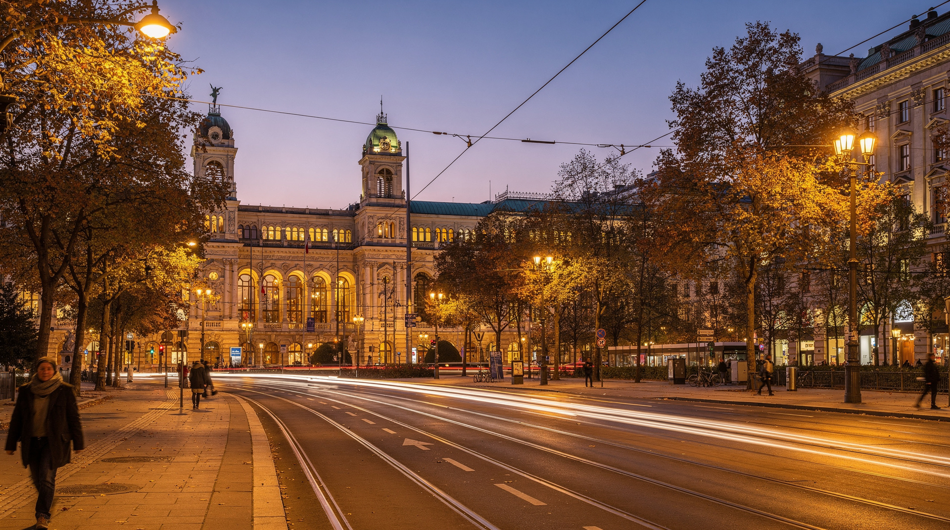 Vienna: Guided Walking Tour of City Center Highlights