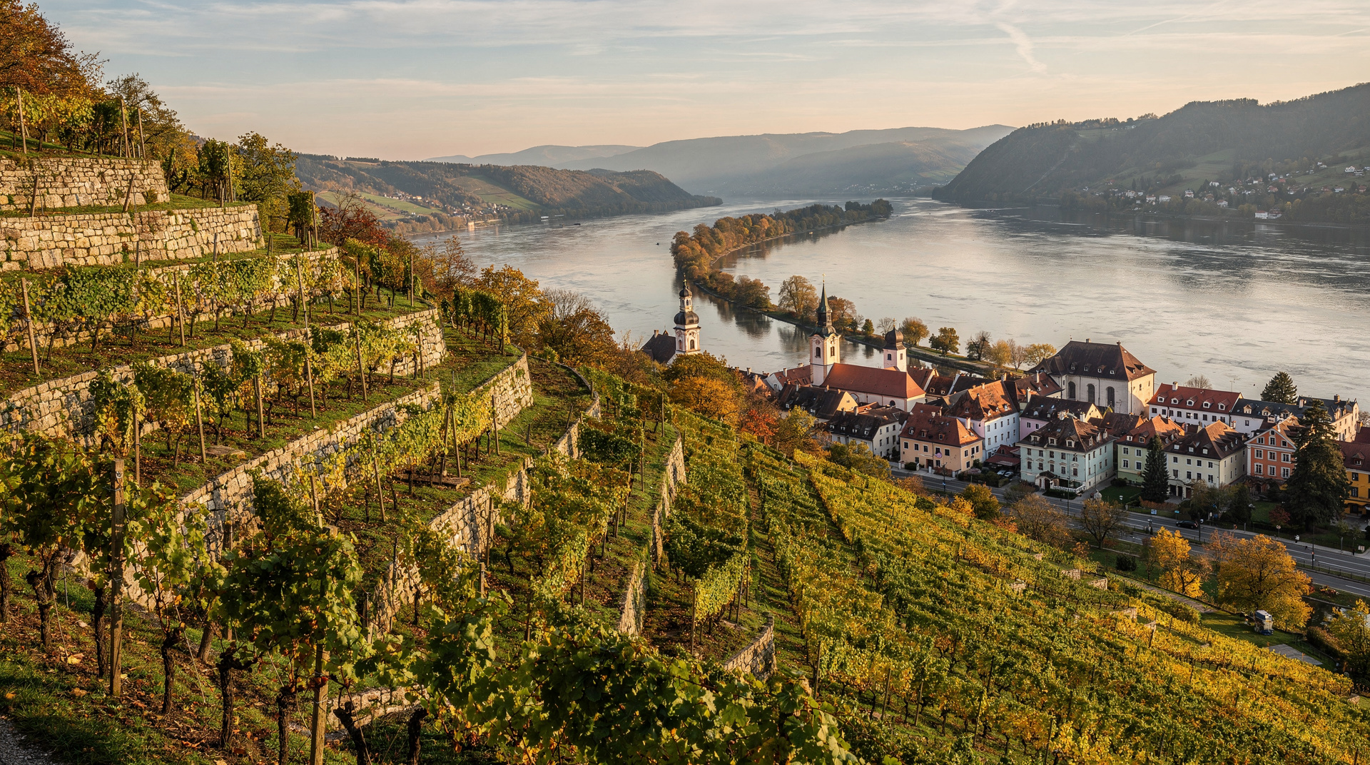 Wachau wine route guide: vineyards, tastings and Grüner Veltliner — Complete guide to the Wachau wine route — best producers, tasting rooms, the Ste